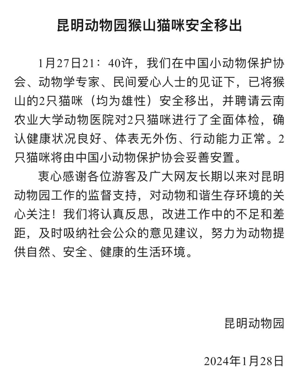 角子機:猴子疑似虐貓,崑明動物園:猴山貓咪已被安全移出,健康狀況良好